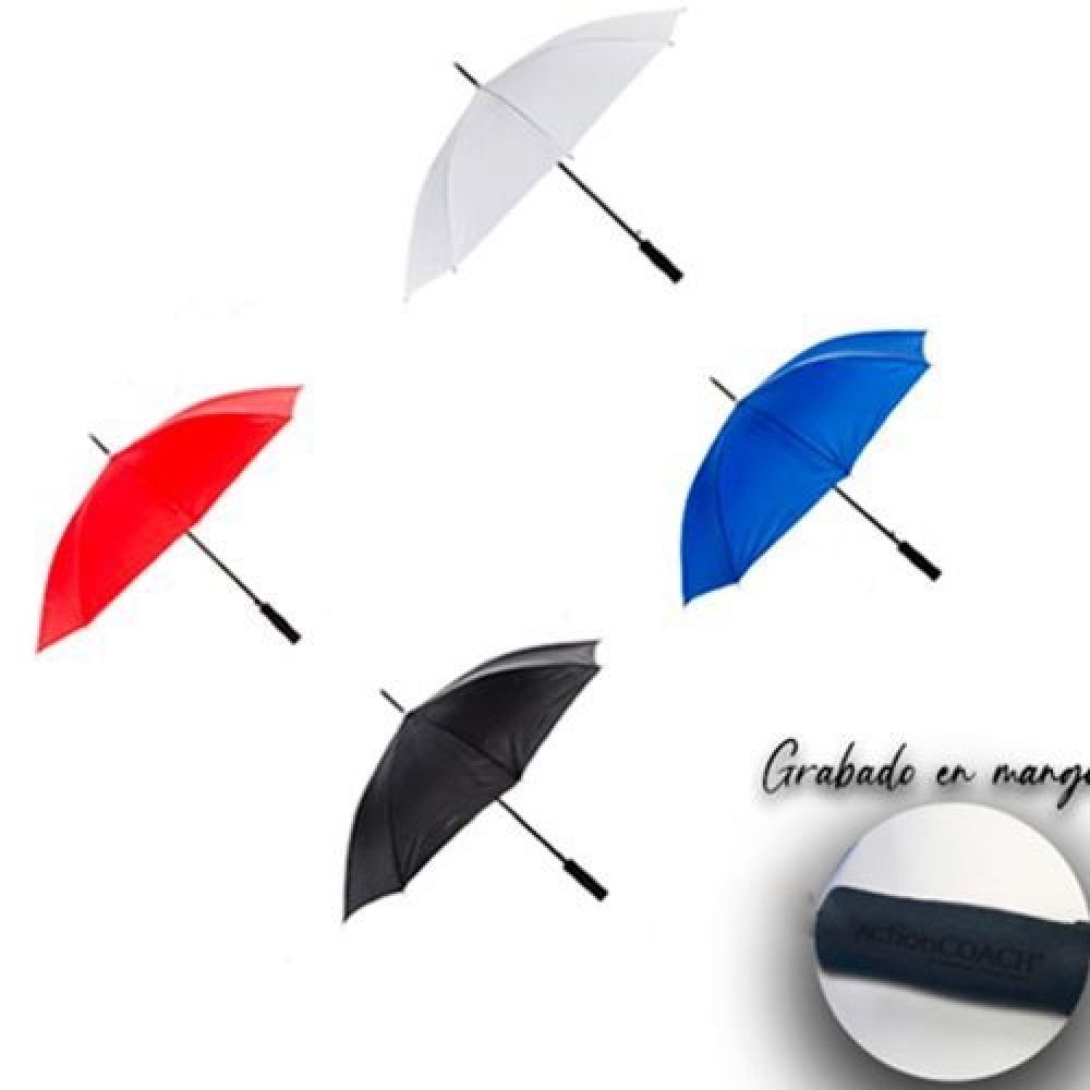 RAIN imagen